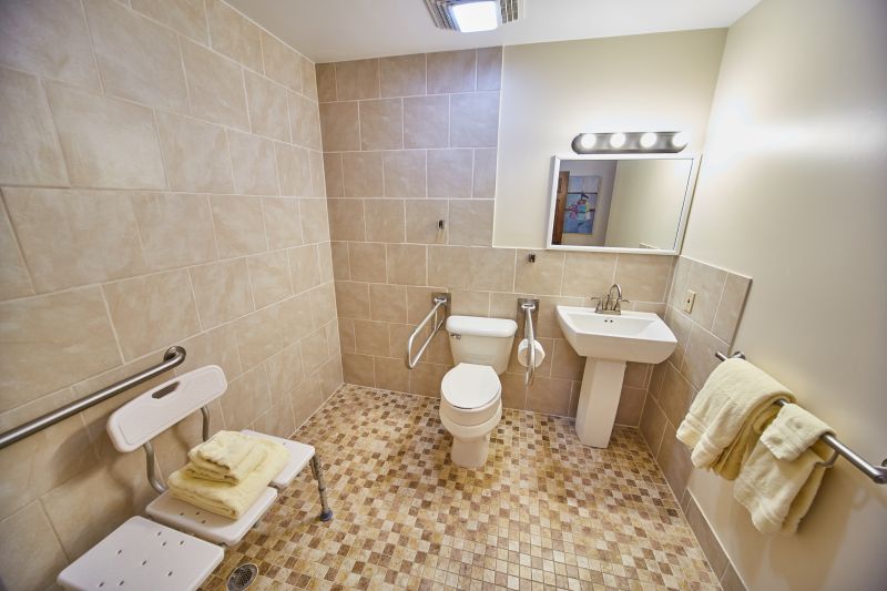 Best Bathroom Accessibility Contractors in Show Low, AZ